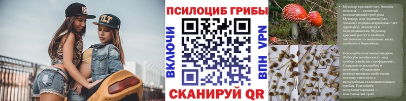 Галлюциногенные грибы мухоморы  Городище 