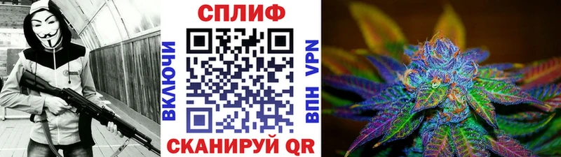 купить   Городище  Канабис семена 